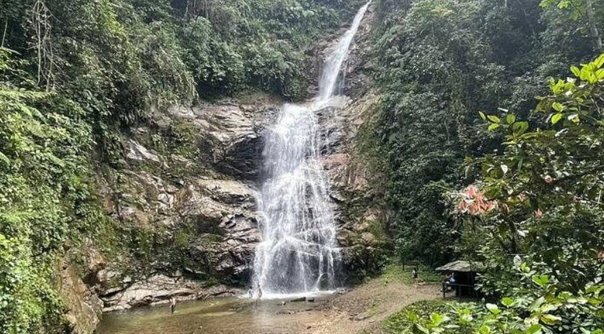 Podocarpus National Park, Loja & Zamora-Chinchipe, Ecuador